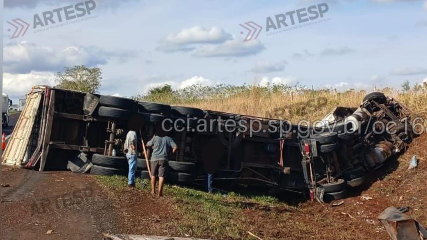 Carreta tomba após atropelar boi em rodovia da região
