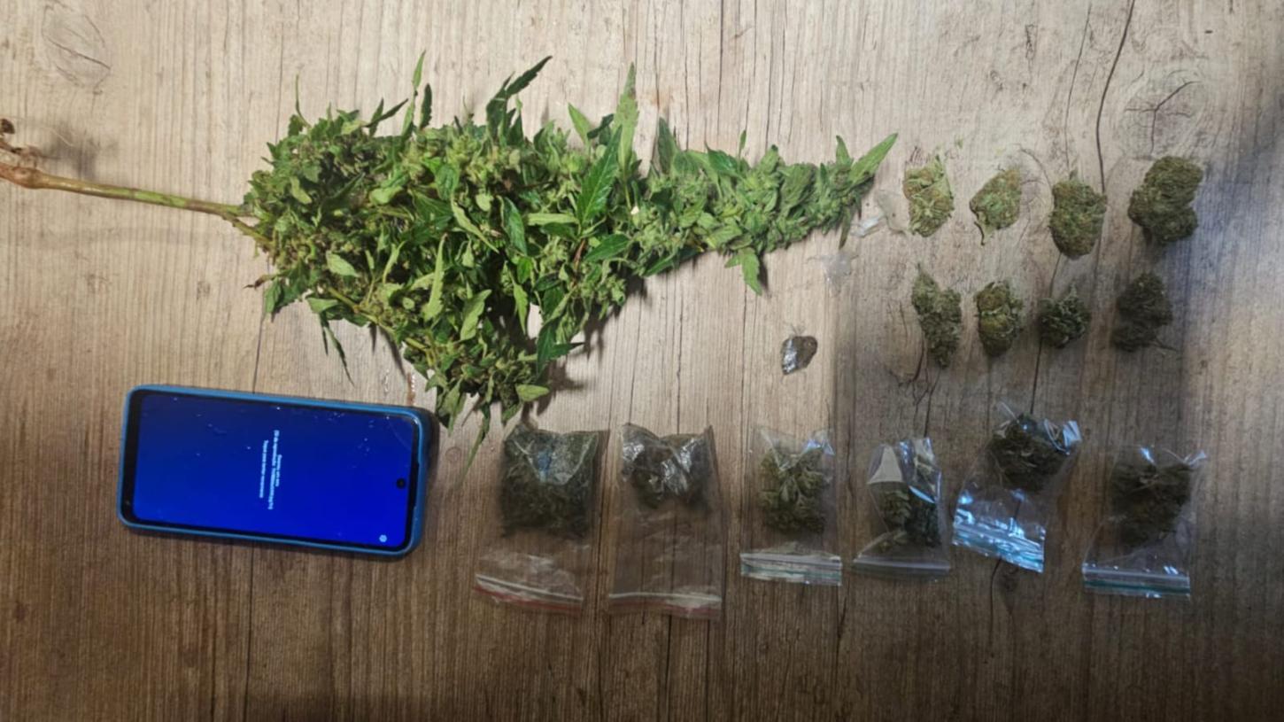Homem é preso pela Polícia Militar com pé de maconha no Jardim Aeroporto