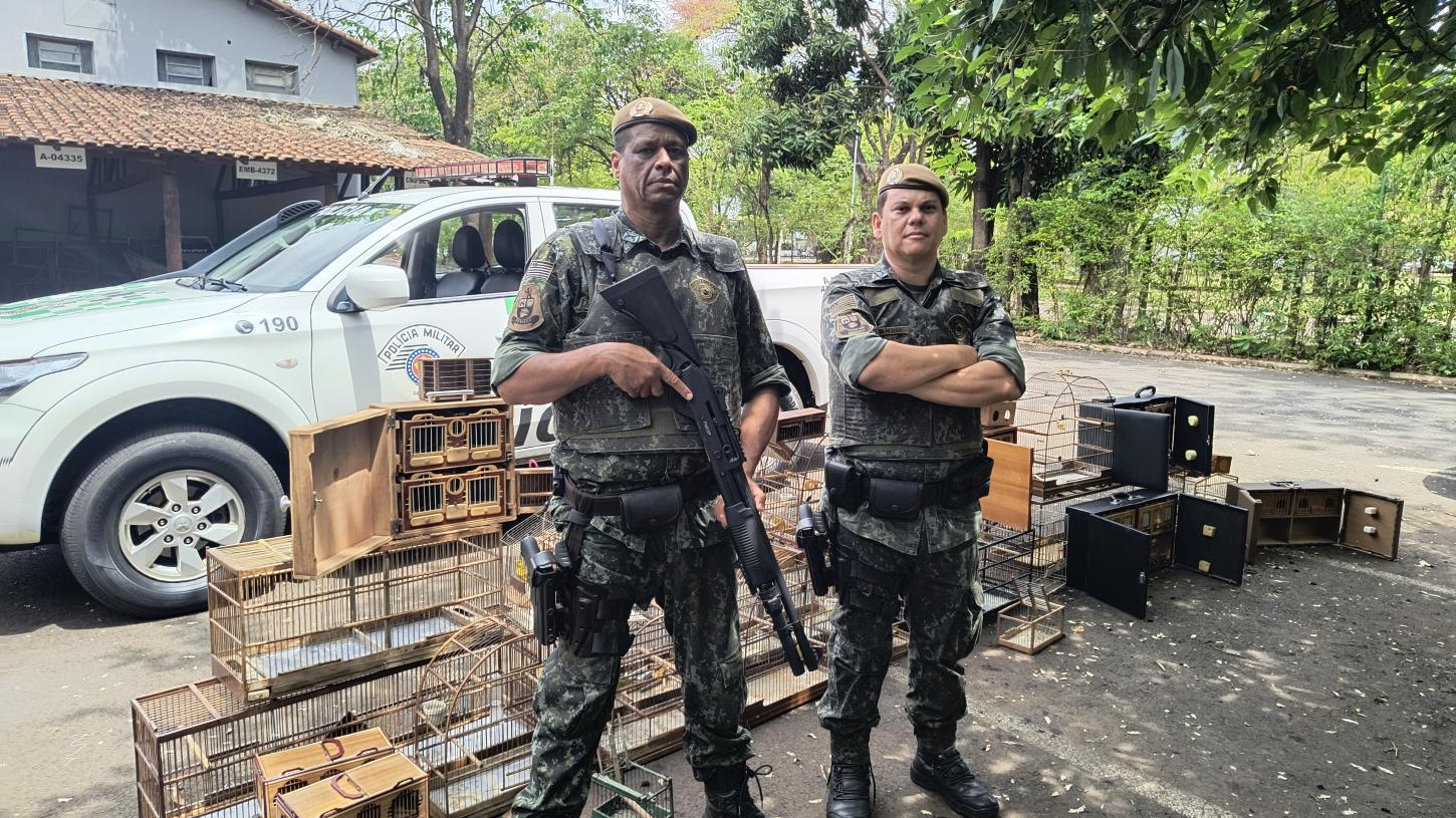 Homem é preso durante operação das Polícias Ambiental e Civil no Luiza