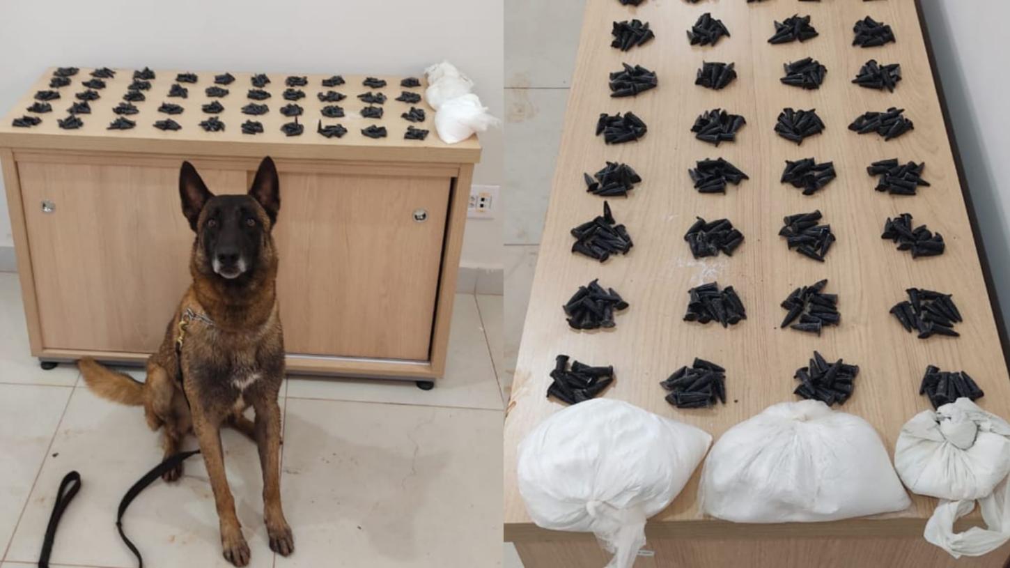 Cão e policiais do Baep localizam mais de 400 pinos de cocaína