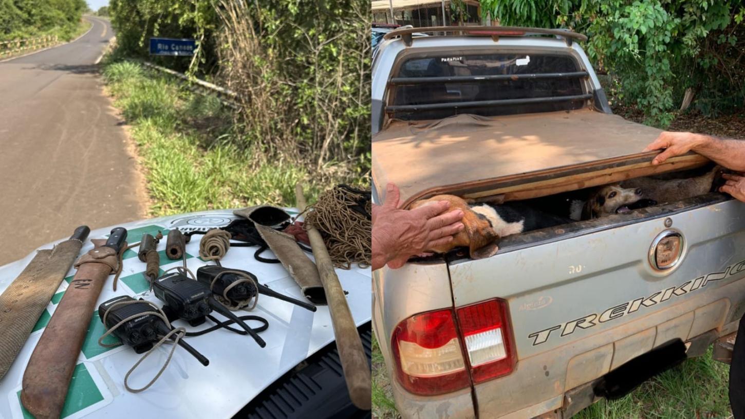 Homens são detidos pela PM Ambiental por caçar javalis sem autorização