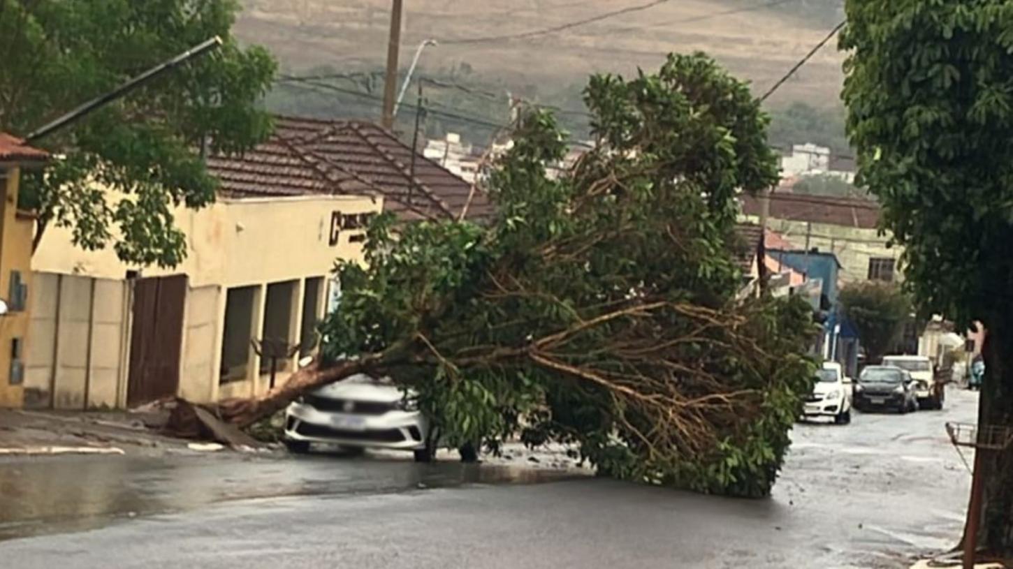 Ventos de quase 100 km/h provocam estragos em Sacramento