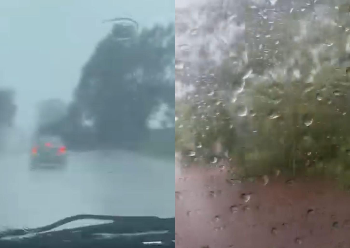 Árvores caem na rodovia Fábio Talarico e causam interdições