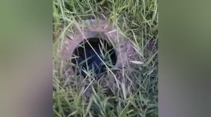 Buraco em canteiro central de avenida chama atenção de moradores