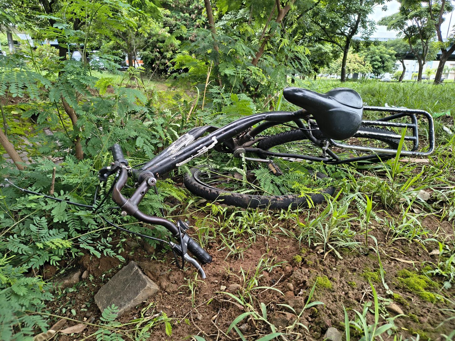 Ciclista morre após ser atropelado por caminhão na Alonso y Alonso