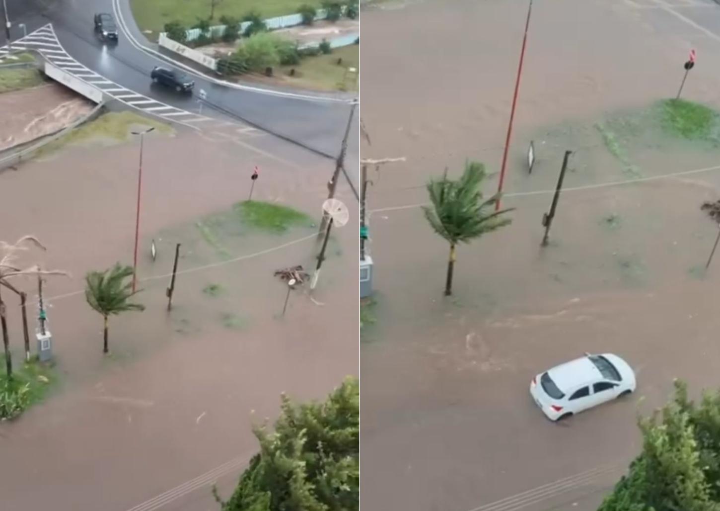 Forte chuva causa alagamentos e quedas de árvores em Franca; assista