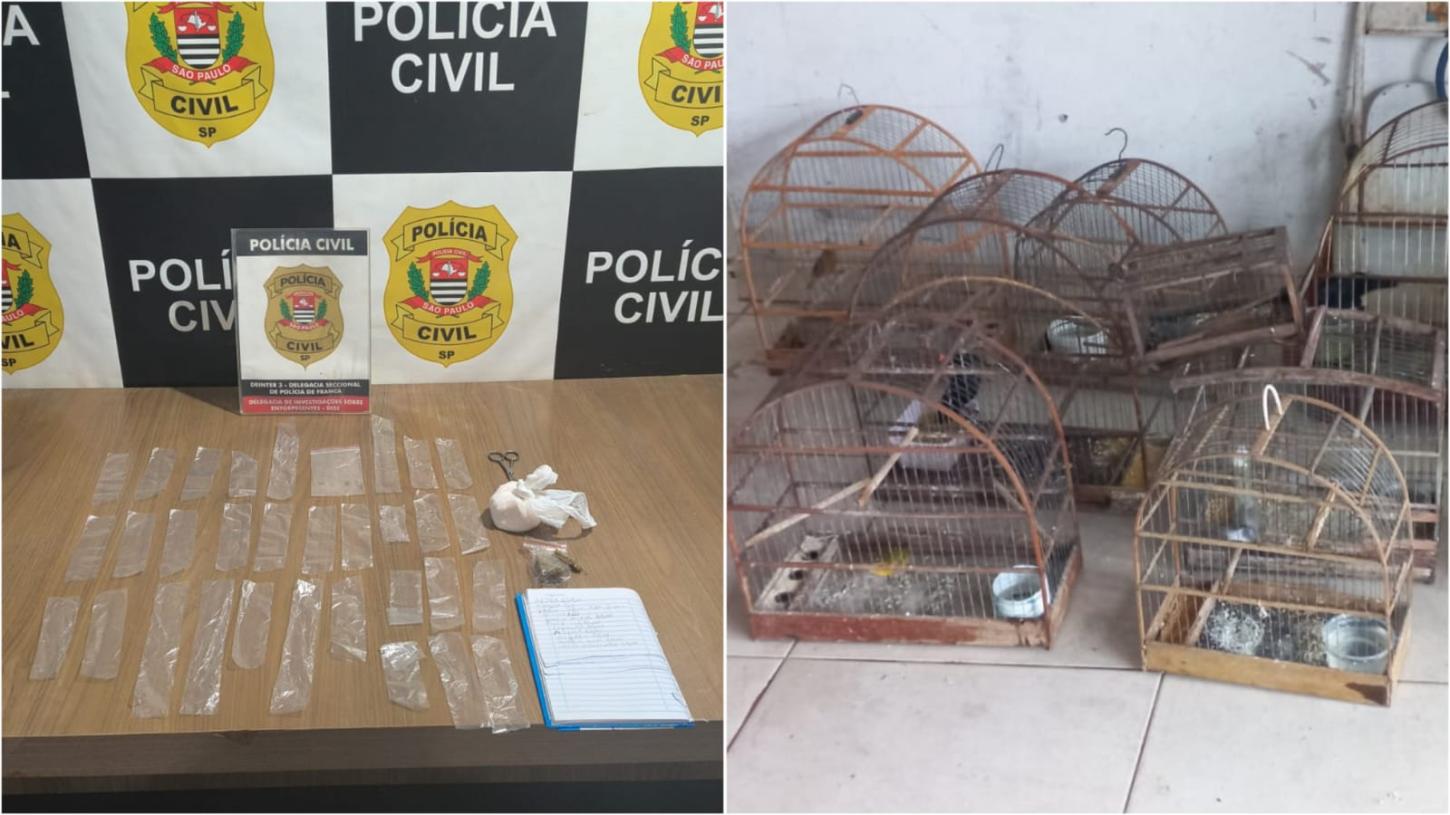 Homem é preso pela DISE por tráfico e multado por maus-tratos a aves