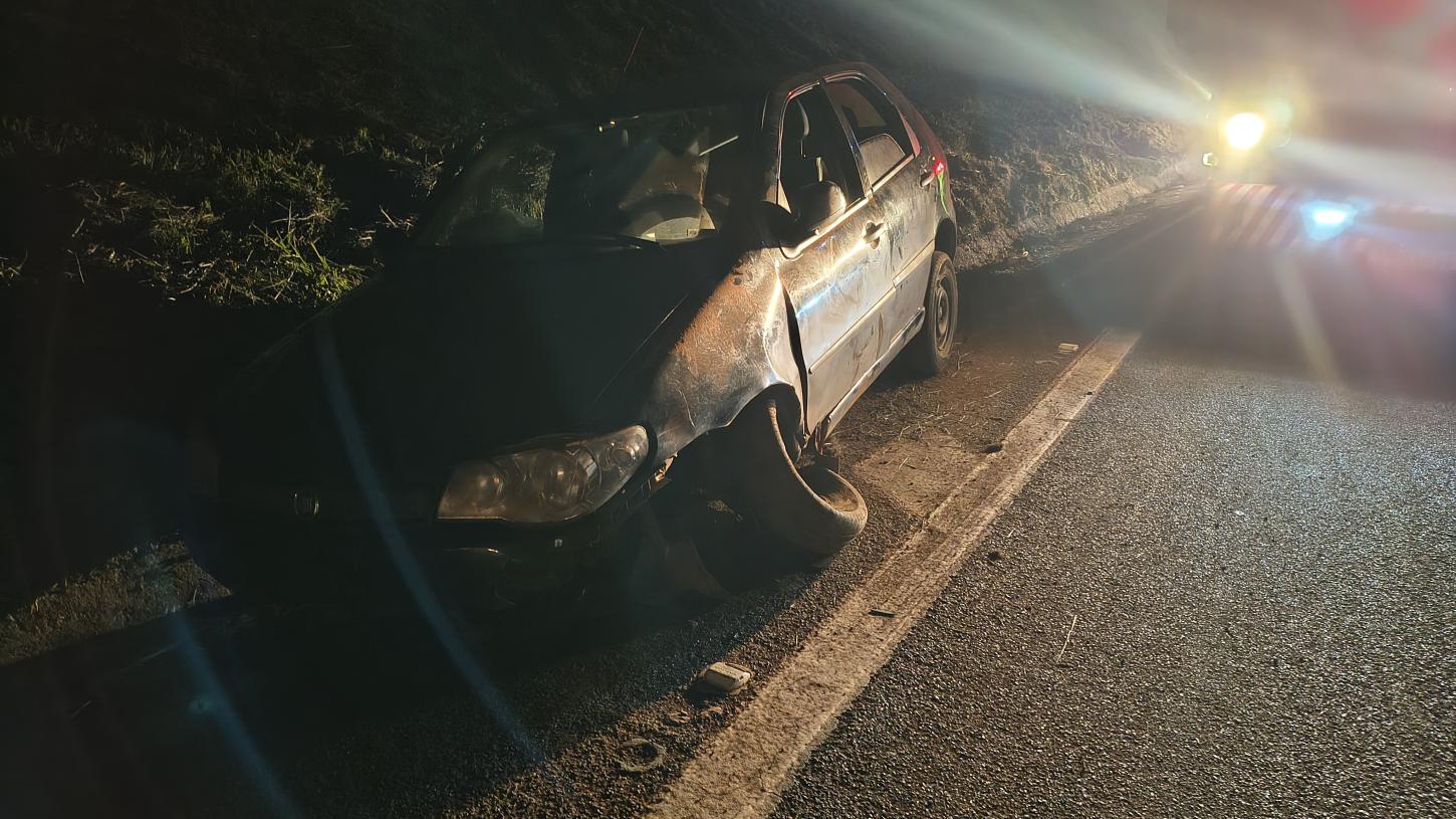 Cavalo solto causa acidente na rodovia Ronan Rocha