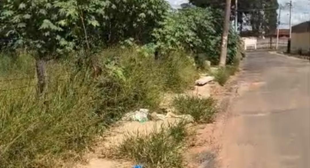 Mato alto em bairros da zona sul impede a passagem de pedestres