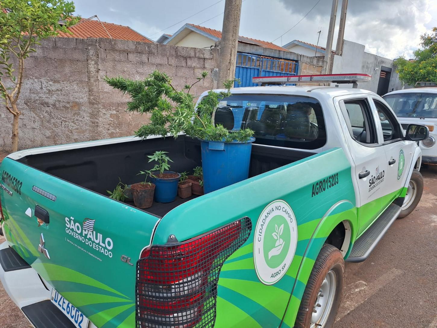 Homem é detido pela PM com 14 pés de maconha em Itirapuã