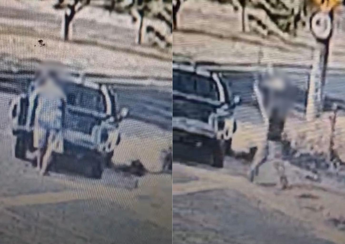 Câmeras flagram furto de andaimes em construção no Pulicano 