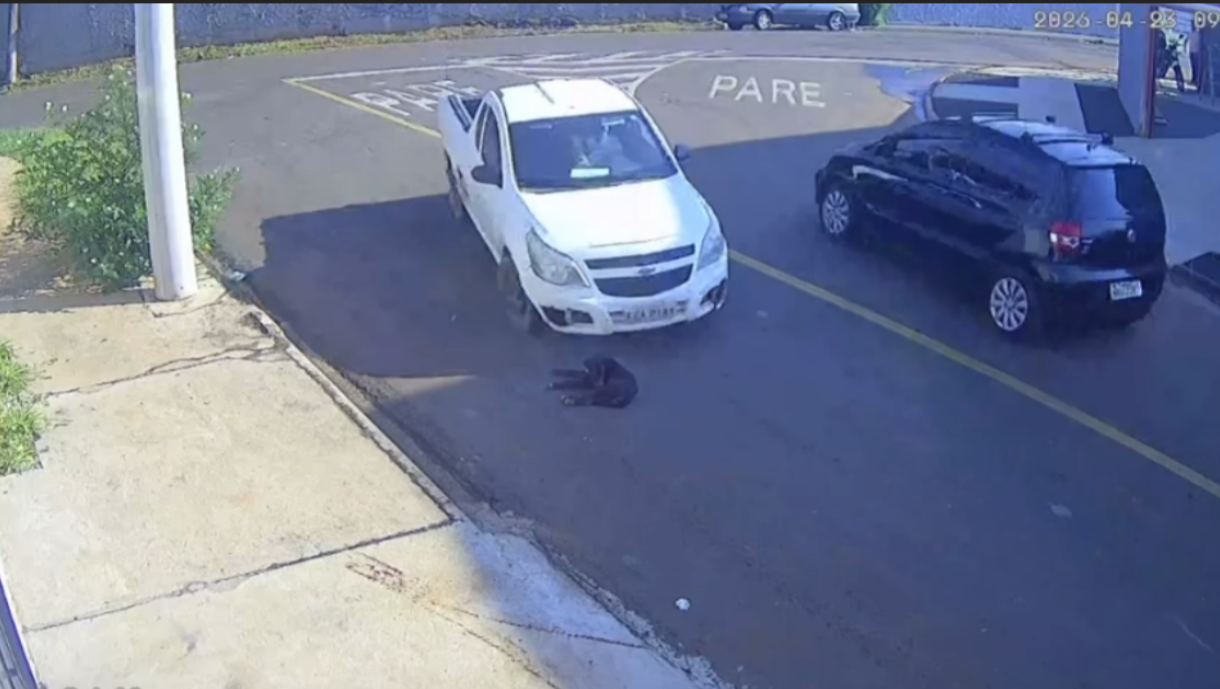 Motorista atropela cachorro e foge; animal morreu após ser socorrido