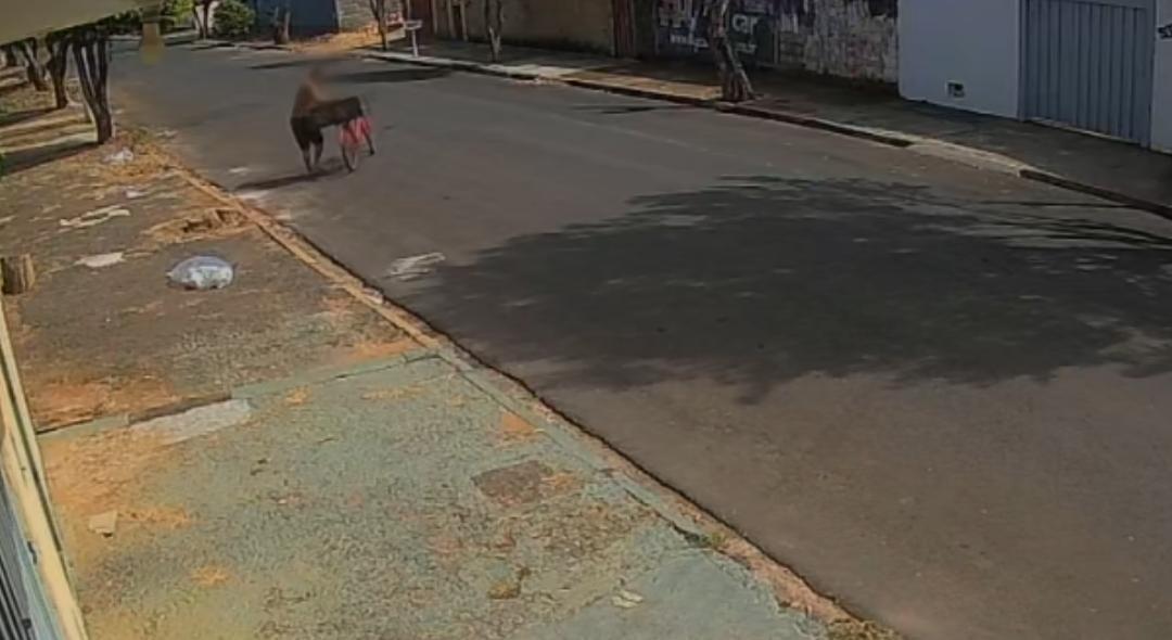Homem é preso com objetos furtados de residência em Cristais Paulista