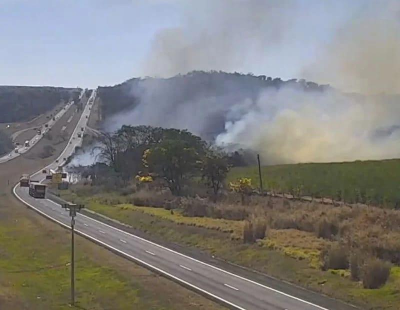 Incêndios às margens de rodovias em Franca têm aumento de até 600% 