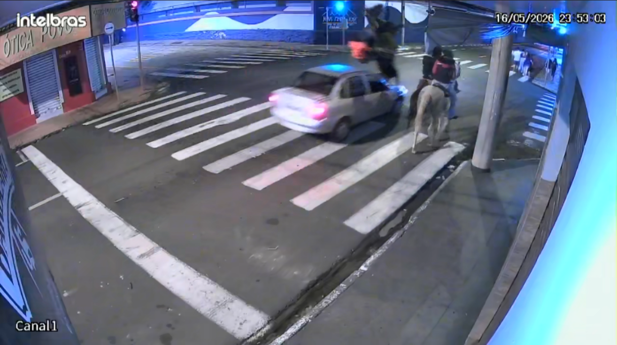 Câmeras registram cavalo sendo atropelado por carro na Vila Nova