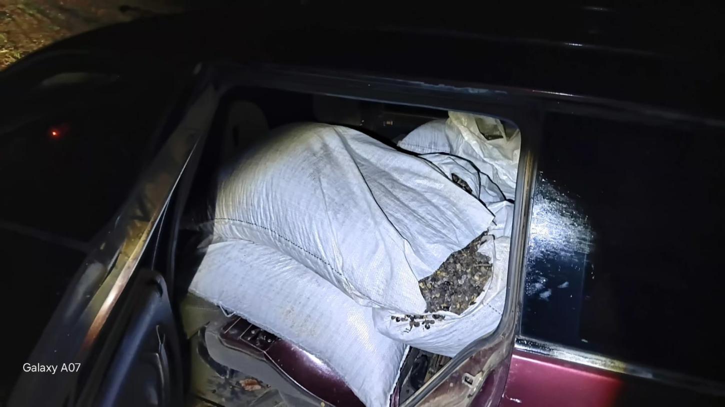 PM recupera 16 sacas de café furtadas em fazenda de Cristais Paulista