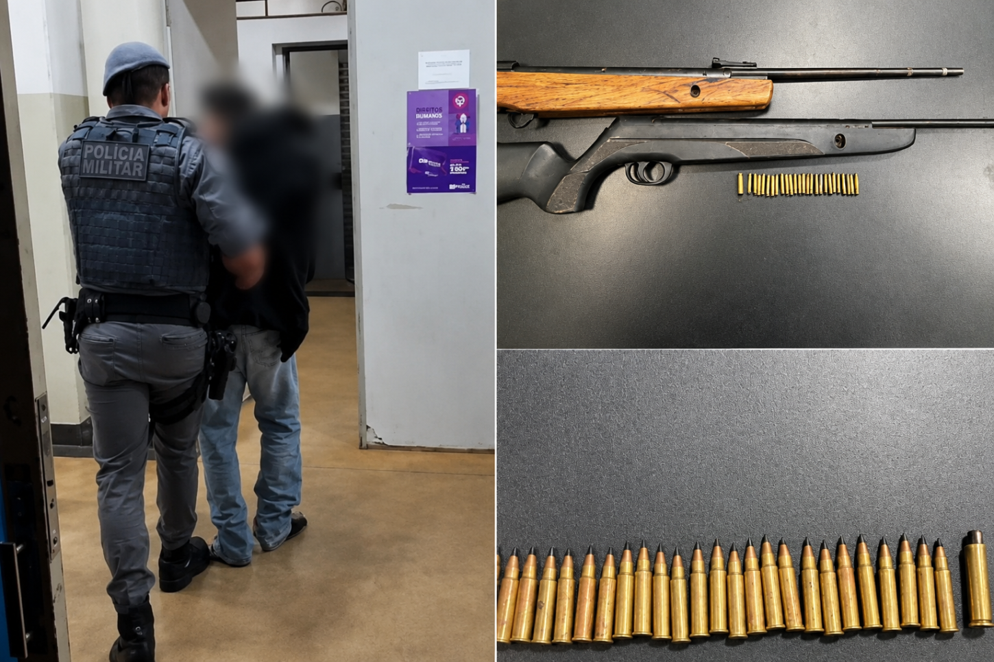 Homem é preso por violência doméstica e posse irregular de armas em Buritizal