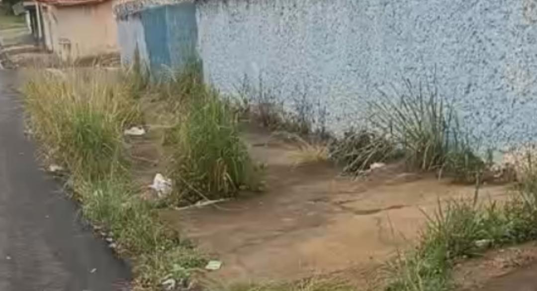 Moradores denunciam mato alto e lixo em calçada de creche na Vila Pedigoni