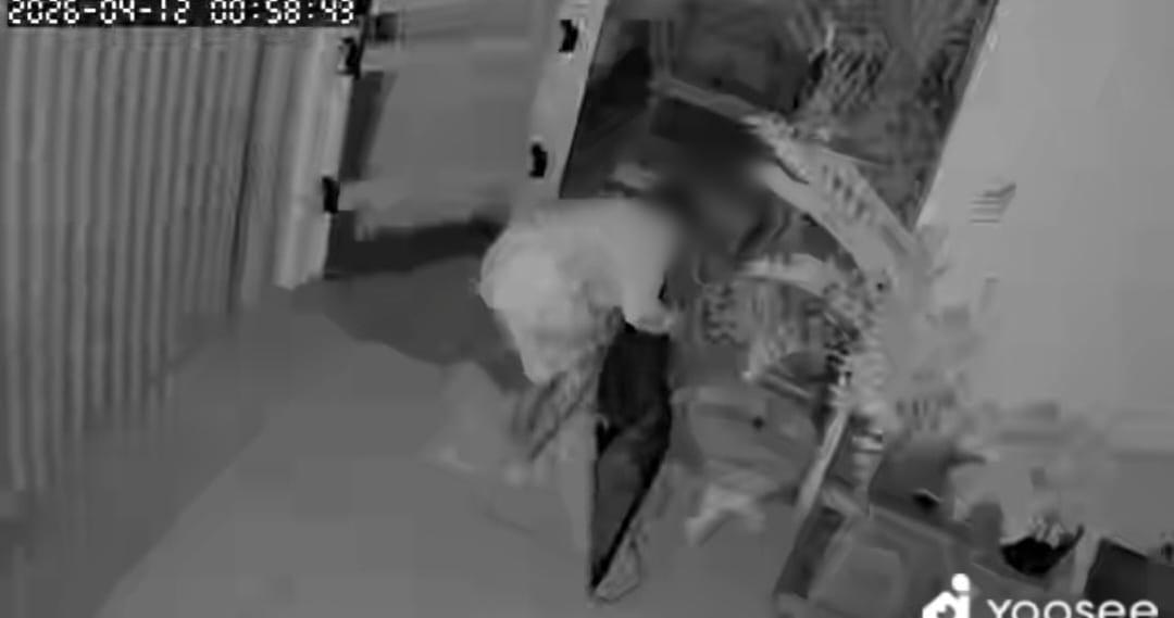 Acusado de furtar residência no City Petrópolis é preso pela Polícia Civil
