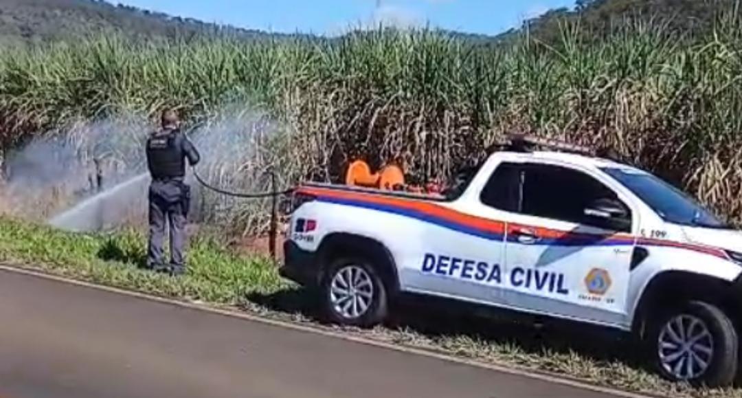 GCM e Defesa Civil controlam incêndio às margens de rodovia em Rifaina