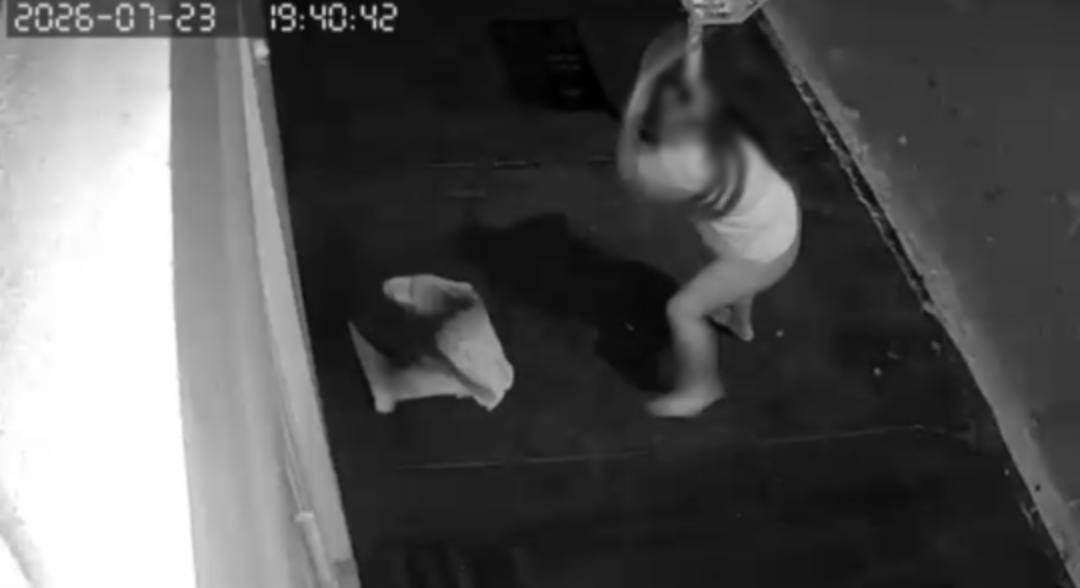 Polícia procura mulher que agrediu cão comunitário no Ipanema