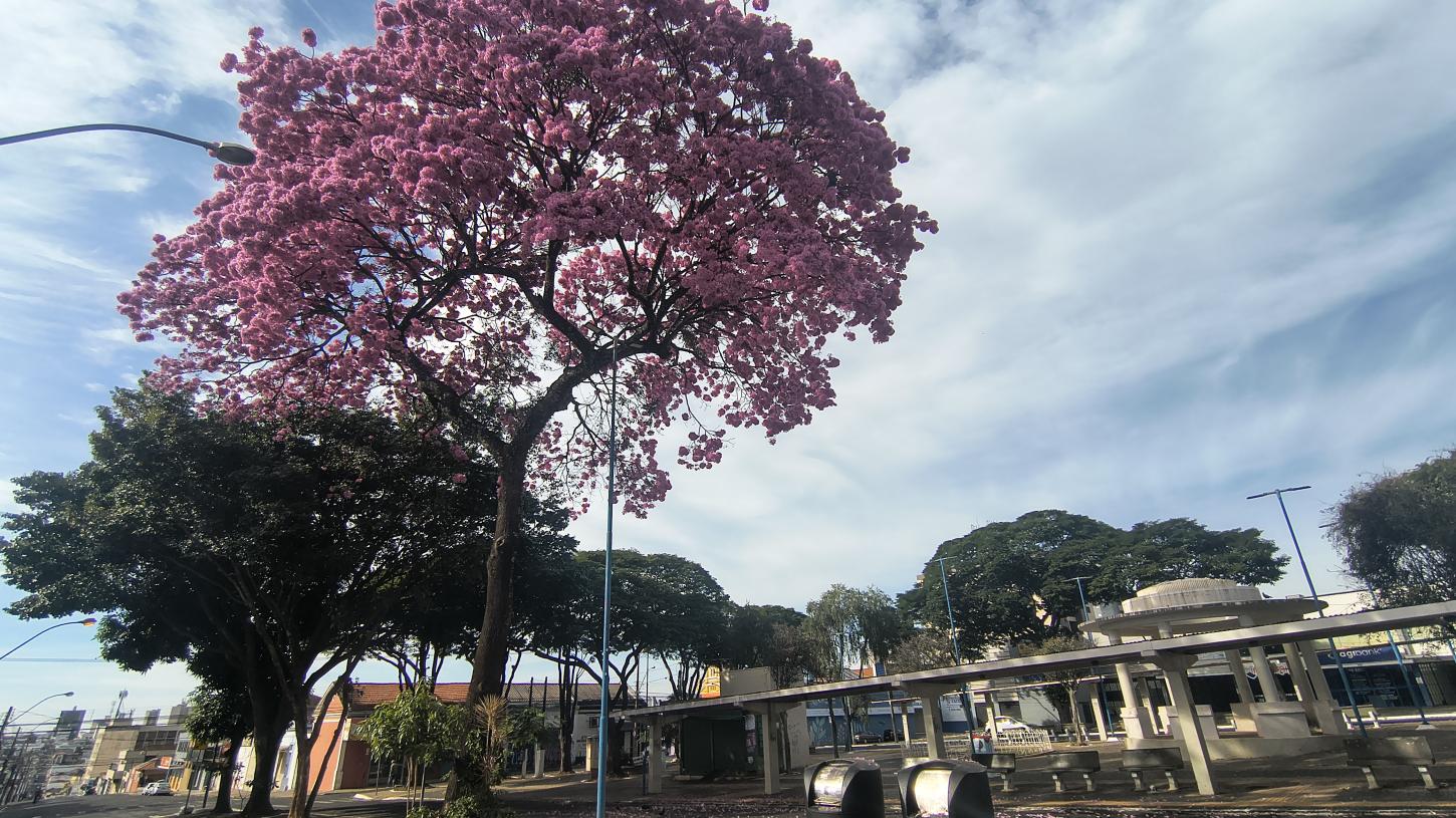 Semana será de sol, temperaturas amenas e sem previsão de chuva 