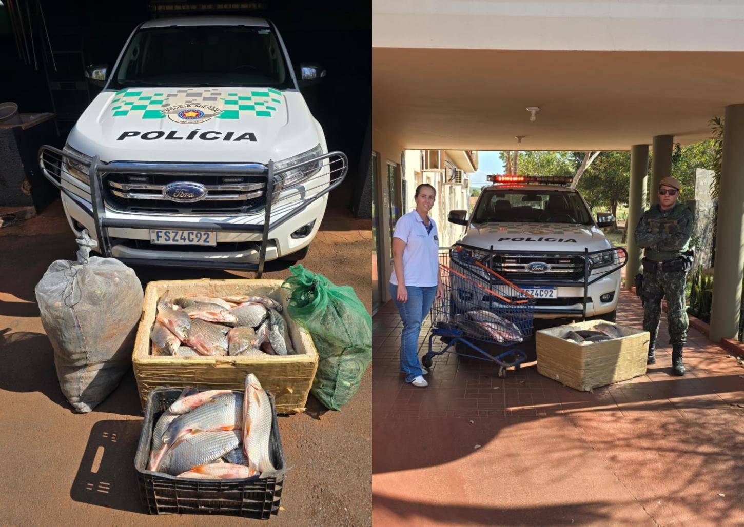 114 quilos de peixes apreendidos são doados a abrigo de idosos