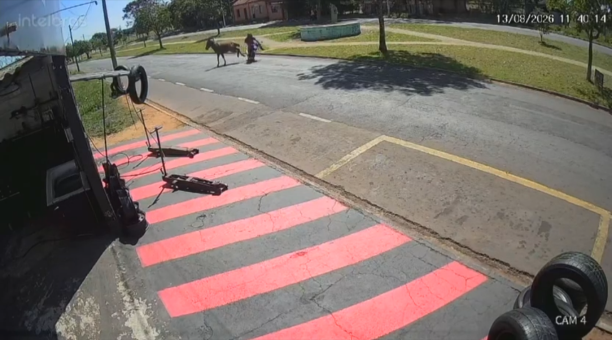 Câmera registrou acidente entre cavalo e motocicleta em avenida 