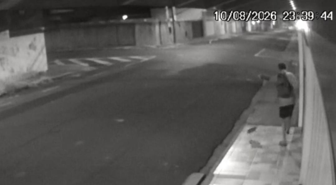 Câmeras flagram homem arrancando caixinha de correio na Estação