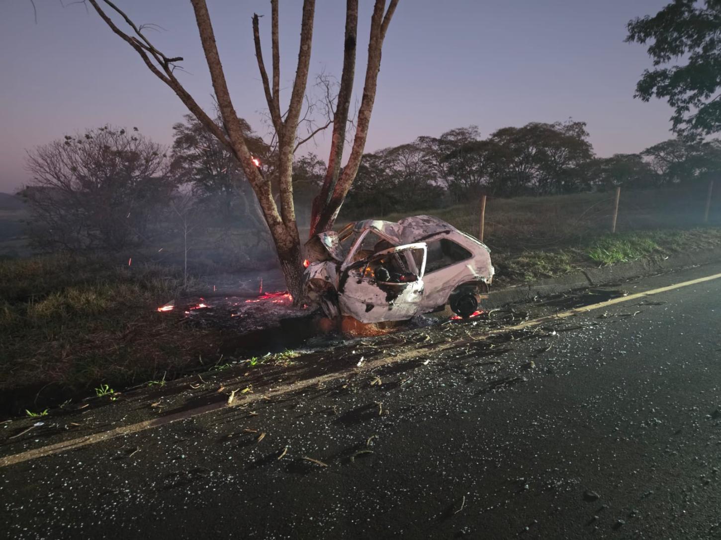 Carro bate em árvore, pega fogo e motorista morre carbonizado