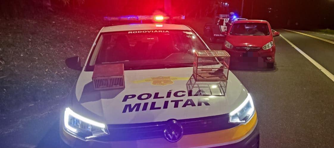 Homem é detido pela PM ao transportar aves silvestres em Pedregulho