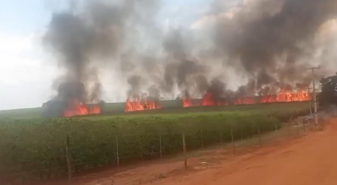 Incêndio atinge canavial próximo à rodovia Tancredo Neves