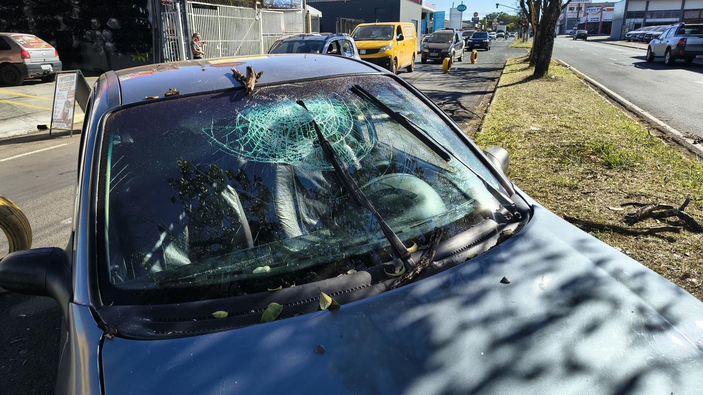 Carro fica abandonado em avenida após bater em árvore