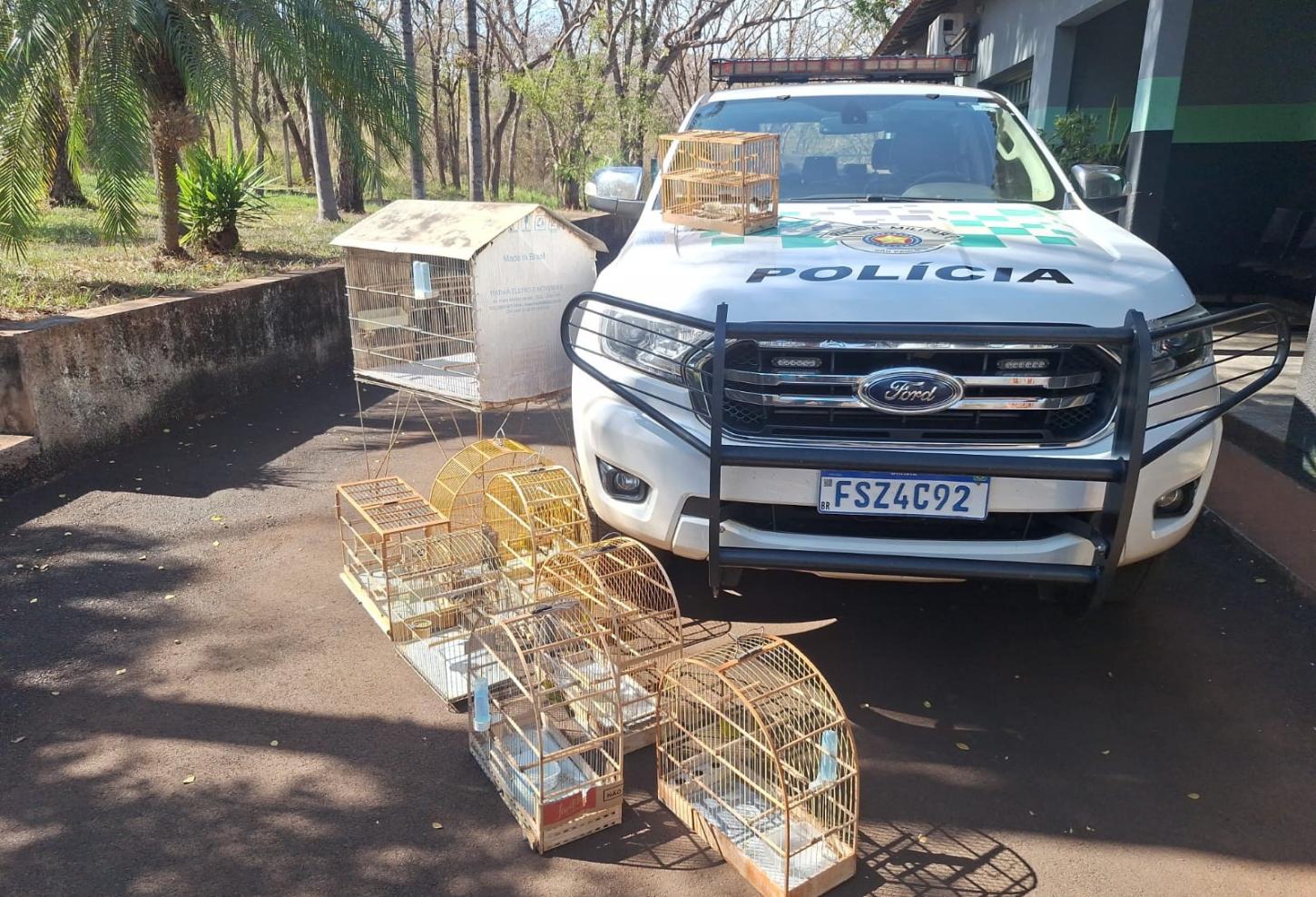 Polícia Ambiental resgata 10 aves silvestres e aplica R$ 5 mil em multas 