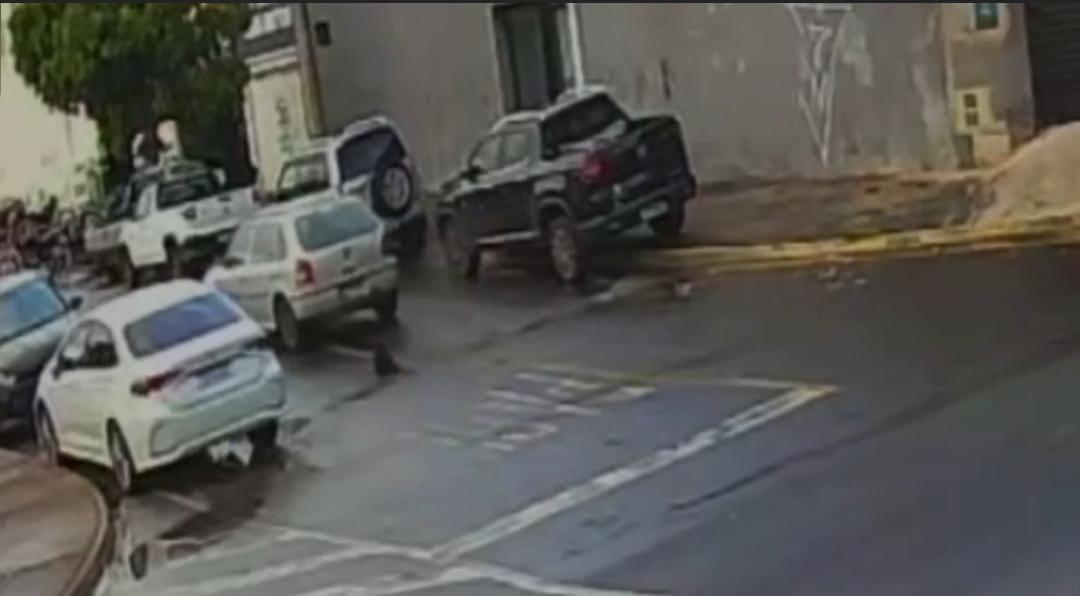 Cachorro morre após ser atropelado no Jardim Redentor; motorista fugiu
