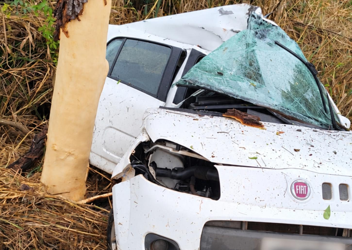 Carro sai da pista e “abraça” árvore na rodovia Irineu Rodrigues Pereira