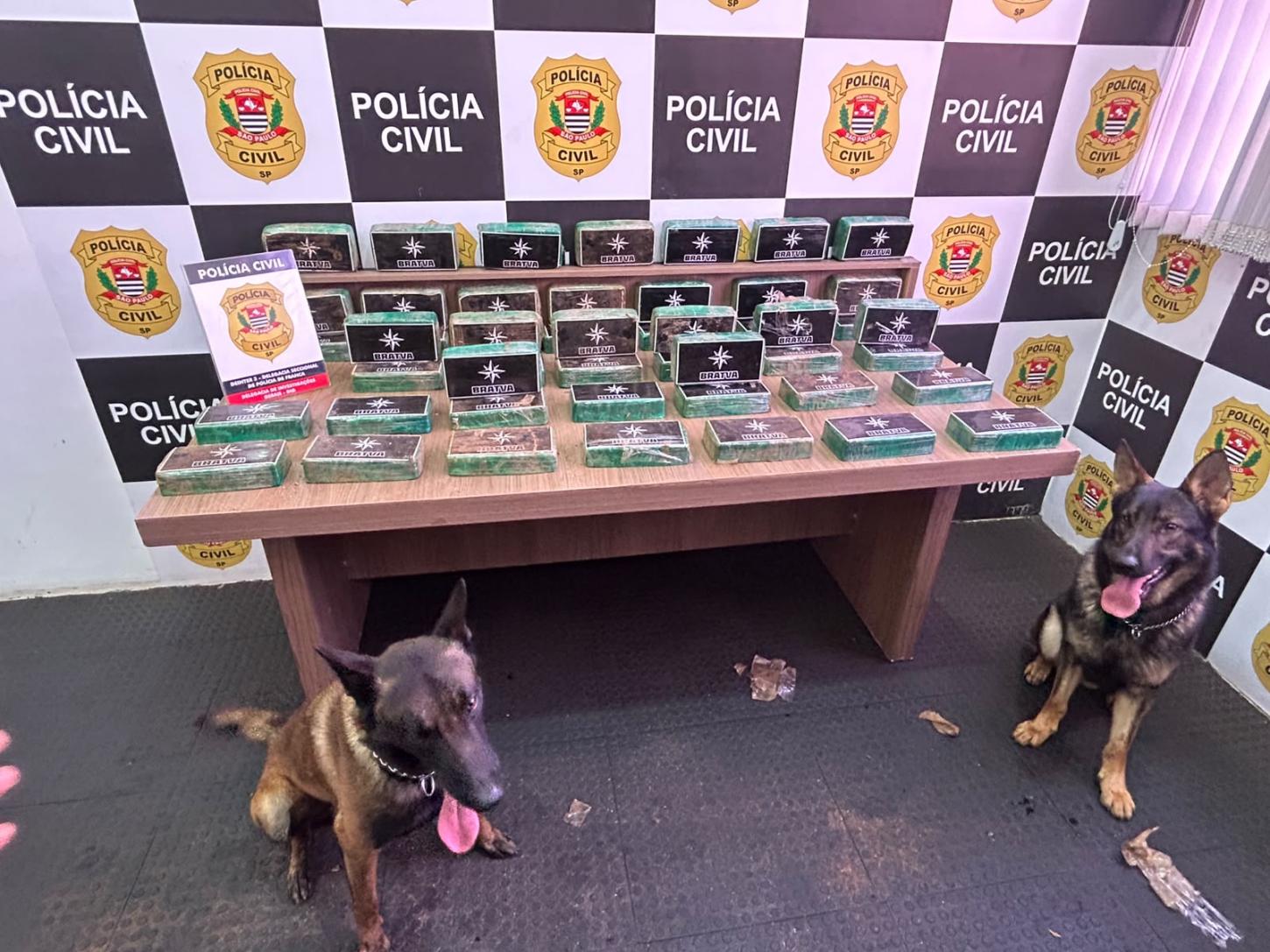 DIG apreende tijolos de crack avaliados em R$ 2 milhões
