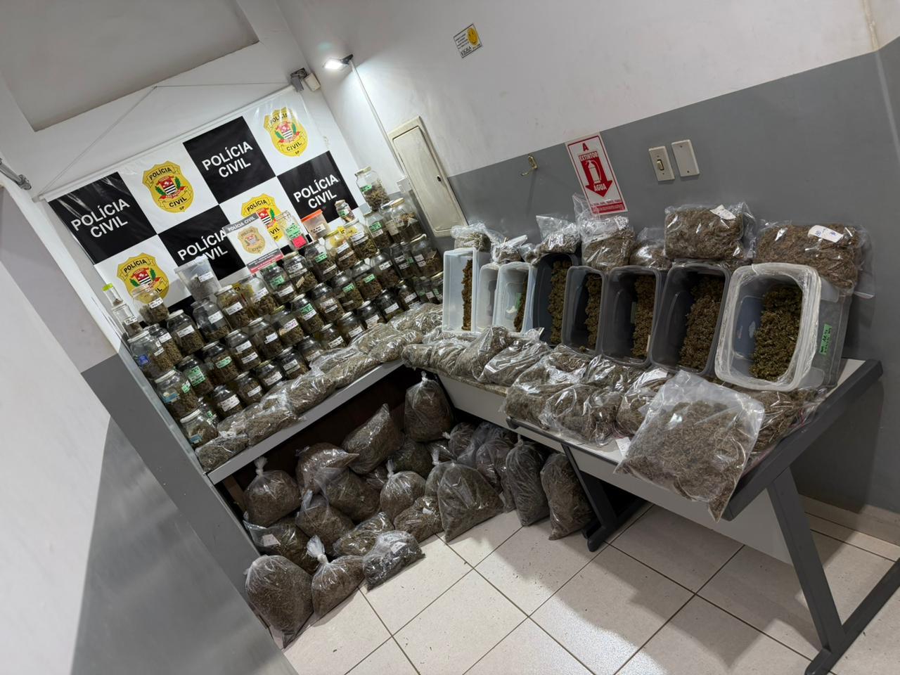 Dise apreende cerca de R$ 1 milhão em maconha na zona rural de Restinga