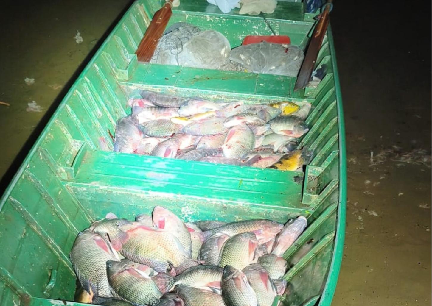 Polícia Ambiental apreende 200 quilos  de peixe e aplica R$ 20 mil em multas
