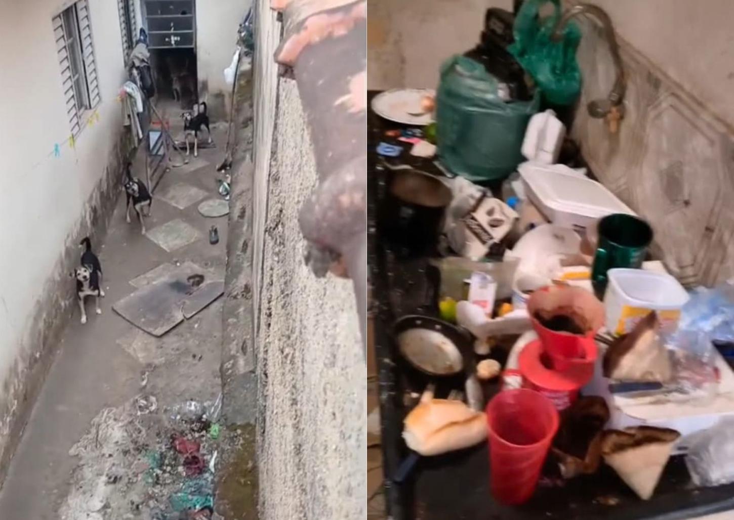  GCM e VetMóvel resgatam seis animais em situação de maus-tratos na Rezende