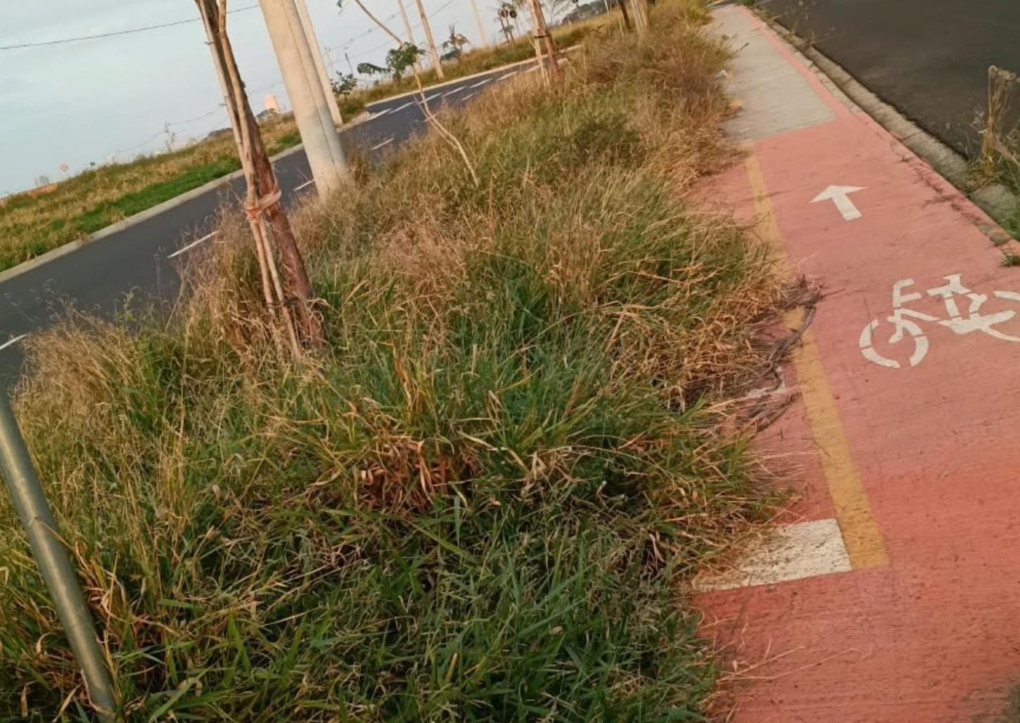 Mato toma conta de ciclovia no Jardim Arizona e moradores cobram limpeza