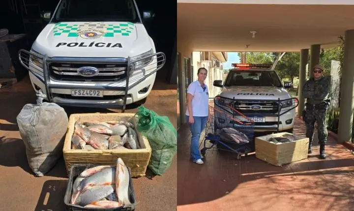114 quilos de peixes apreendidos são doados a abrigo de idosos