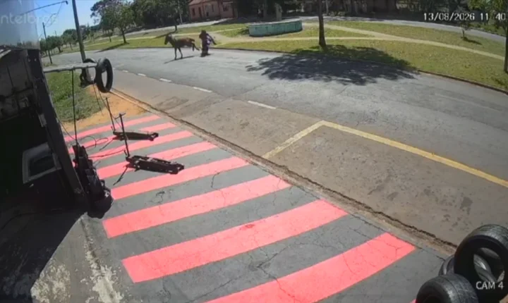 Câmera registrou acidente entre cavalo e motocicleta em avenida 