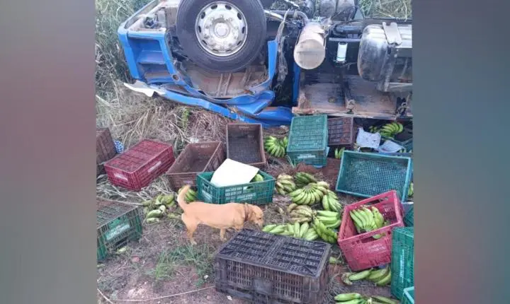 Mulher morre após caminhão de bananas tombar em rodovia de Delfinópolis