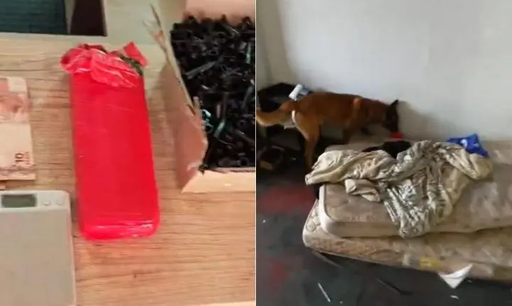 Cão Dexter encontra tijolo de maconha e traficante é preso pelo Baep