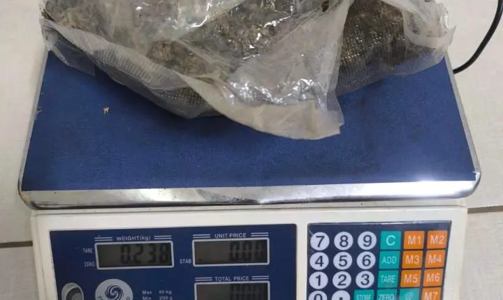 Cão farejador ajuda PM a localizar grande quantidade de drogas em Franca