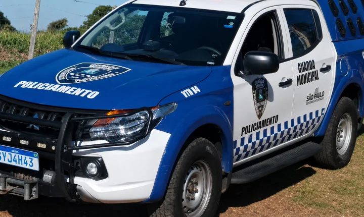 Carro bate em árvore, pega fogo e motorista morre carbonizado