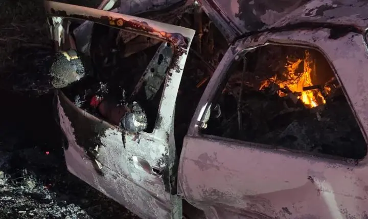 Carro bate em árvore, pega fogo e motorista morre carbonizado