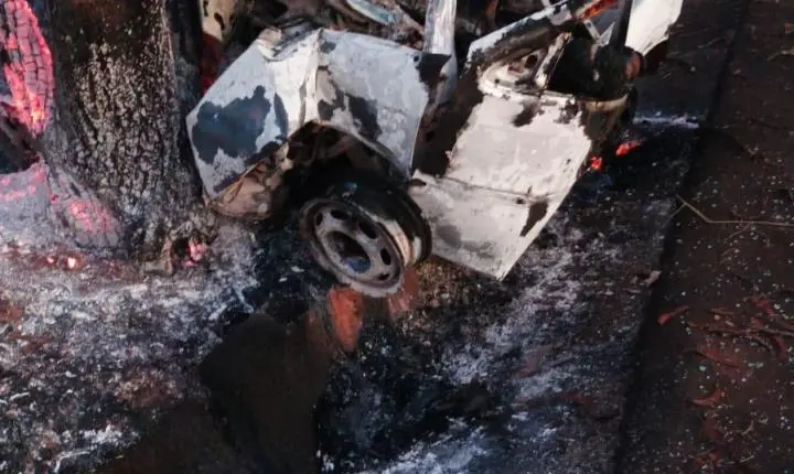 Carro bate em árvore, pega fogo e motorista morre carbonizado