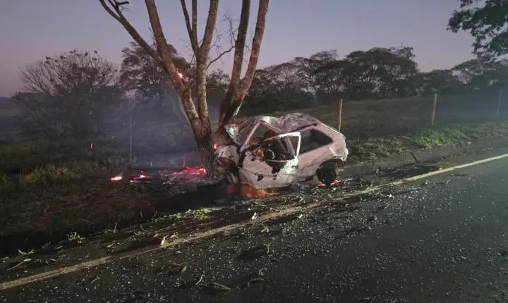 Carro bate em árvore, pega fogo e motorista morre carbonizado